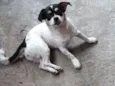 Princesa