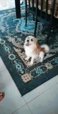 Jack