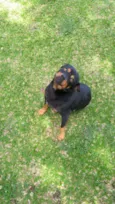 Bob
