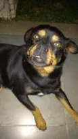 Bob