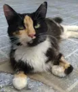 Princesa