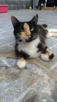 Princesa