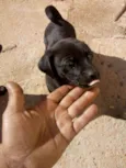 Ainda não coloquei