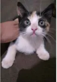 Mia 