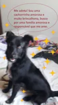 Neguinha
