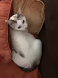 Valentina