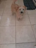 Lili