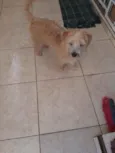 Lili