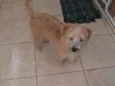Lili