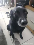 Luke