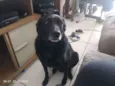 Luke