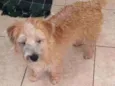 Lili