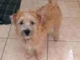 Lili