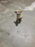 Ainda não tem