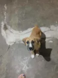 Ainda não tem