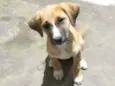 Ainda não tem