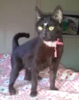 CATY