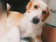 Nick