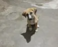 Ainda não tem