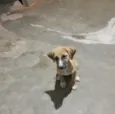 Ainda não tem