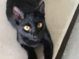 Kiko