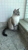 Jef