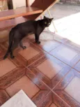 Nick