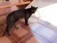 Nick
