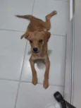 Kira