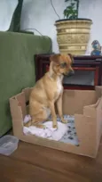 Mel