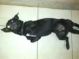 Zeus