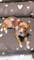 Bilu