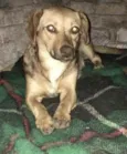 Mel