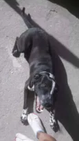 Spike