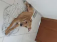 Kira