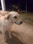 Bilu