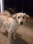 Bilu