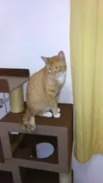 Ralf