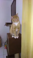 Ralf