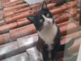 Thomas