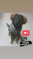 Waze