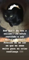 Sallem