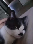 Bebê 