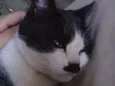 Bebê 