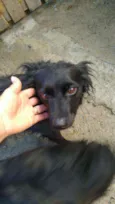 Margarida