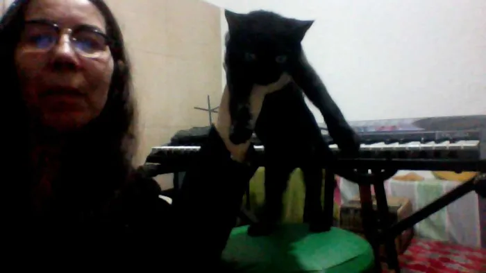 Gato ra a Não especificada idade 2 a 6 meses nome Juju (Julinha)