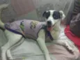 Zoe