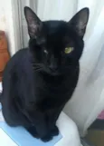 Jack