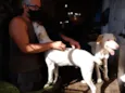 Gasparzinho
