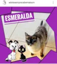 Esmeralda